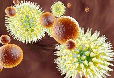 imbir-pri-beremennosti-2