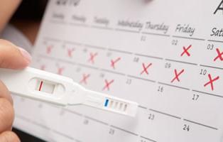 Как определить овуляция