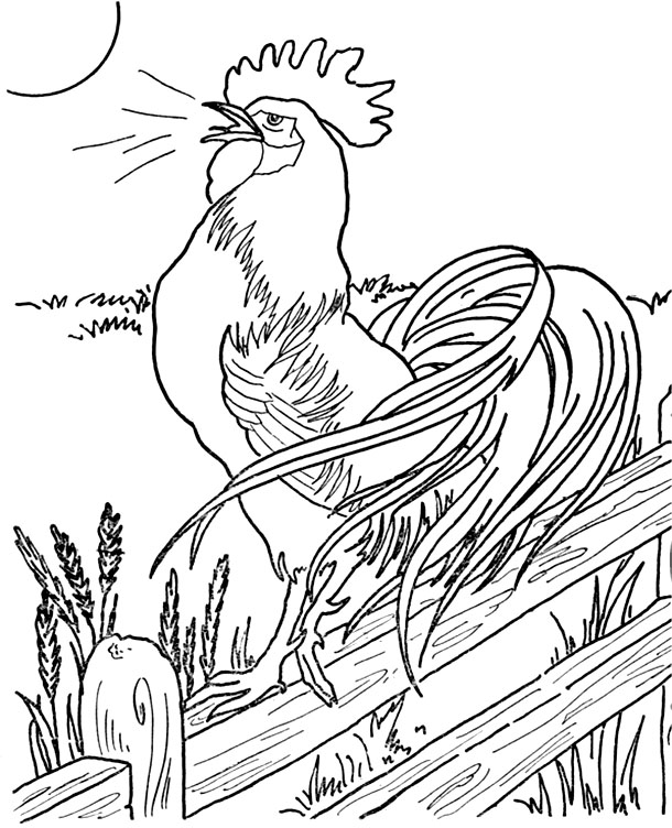 Новогодняя раскраска "Петух"