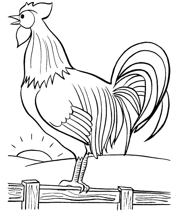 Новогодняя раскраска "Петушок золотой гребешок"