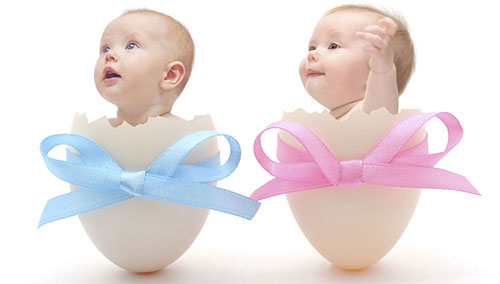 гендерный тест на беременность