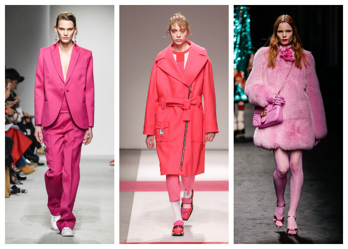 Модные цвета осень - зима 2016 - 2017: розовый, фото