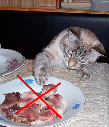 Запрет на солёные продукты